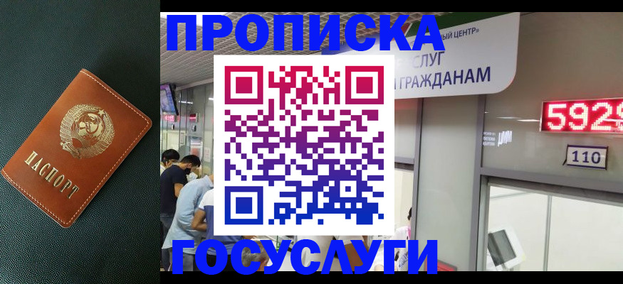 поиск собственника для регистрации в Камбарке